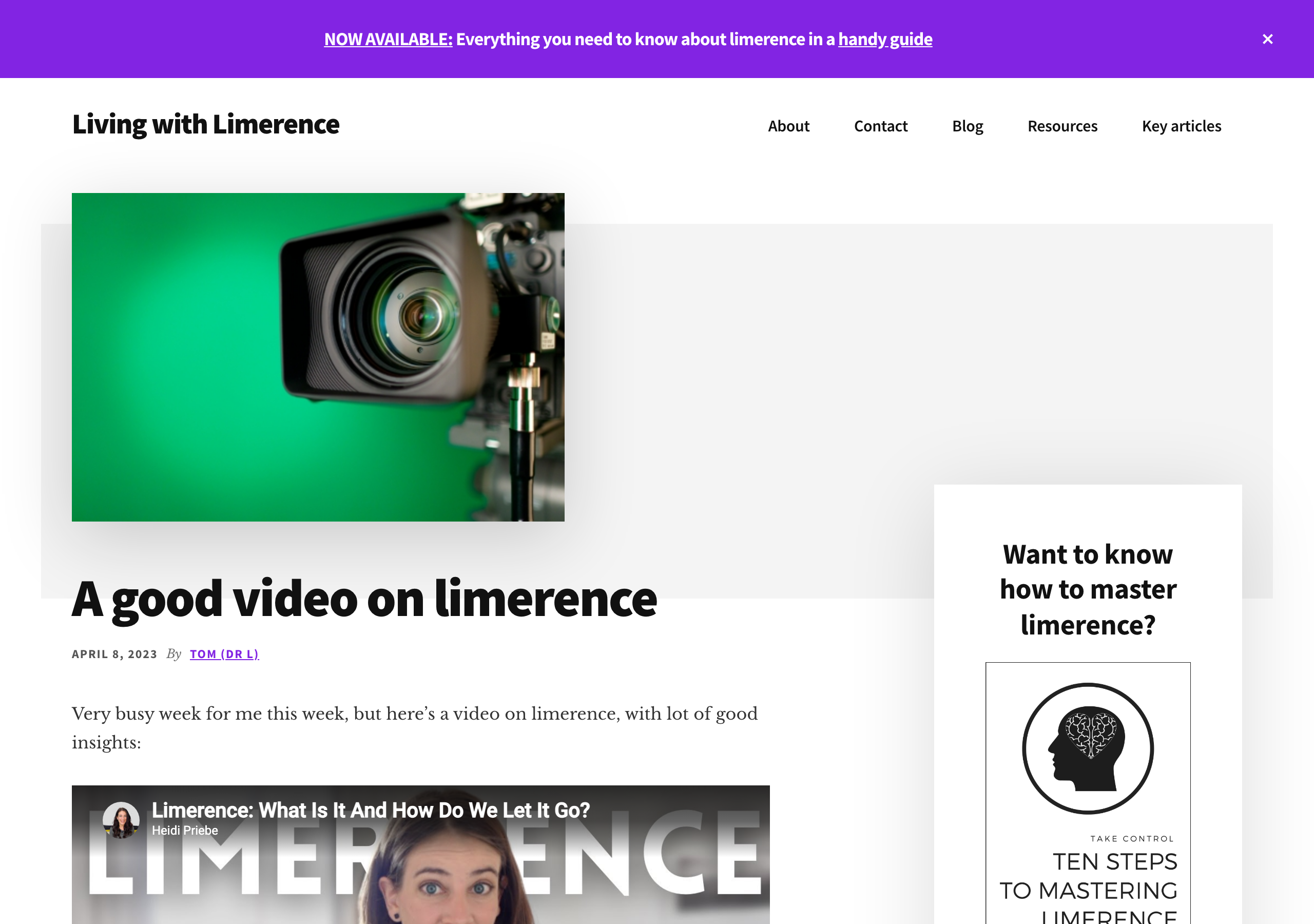 Tom Bellamy's own post on livingwithlimerence.com reviewing one of Heidi Priebe's videos